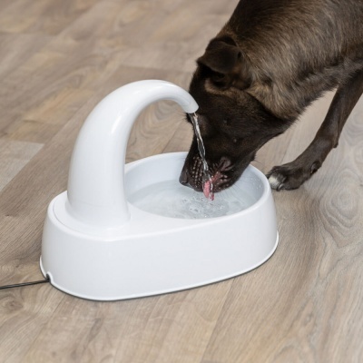 Bebedouro eléctrico branco para cães com água a fluir enquanto cão bebe