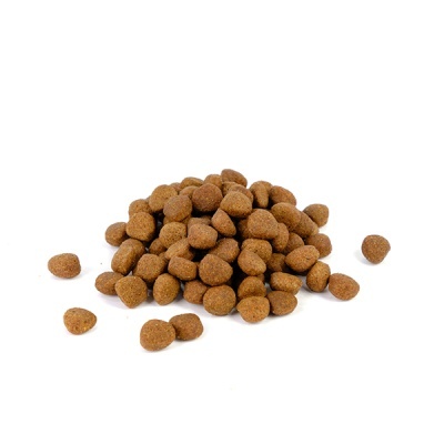 Montinho de ração seca castanha para animais sobre fundo branco