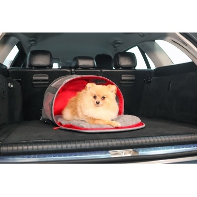 Cão Pomeranian deitado em cama portátil para cães no interior da bagageira de um carro.