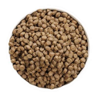 Tigela branca cheia de pellets marrons para animal