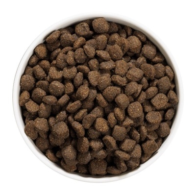 Tigela branca com ração seca castanha escura
