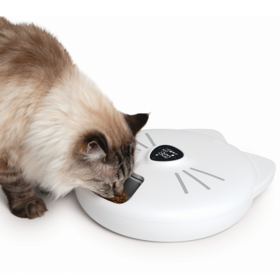 Alimentador automático branco para gatos com visor digital e gato a comer