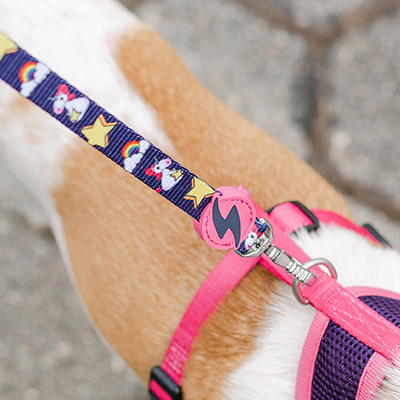 Trela para cão colorida com padrão de estrelas e luas, ligada a peitoral cor-de-rosa