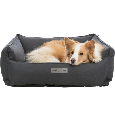 Cama cinza escuro para cão com cão castanho e branco deitado