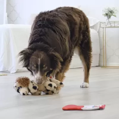 Cão com brinquedo de pelúcia e escova de dentes no chão interior