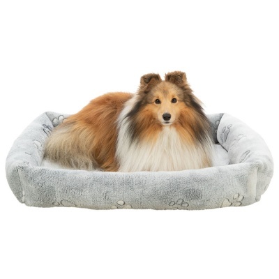 Cama cinzenta para cão com padrão de patas e cão Shetland a repousar
