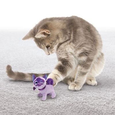Gato cinzento a brincar com brinquedo de peluche roxo