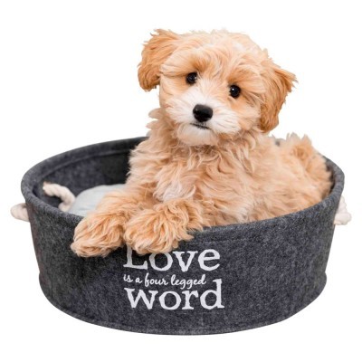 Cão pequeno numa cama redonda cinza com texto branco