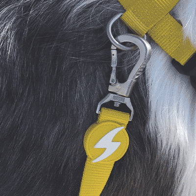 Coleira amarela para cão com pendente de raio branco