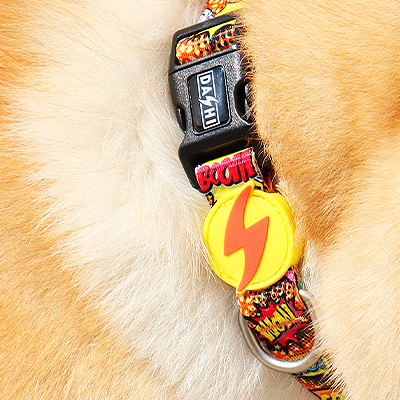 Colar para cão colorido com pendente amarelo e relâmpago vermelho.