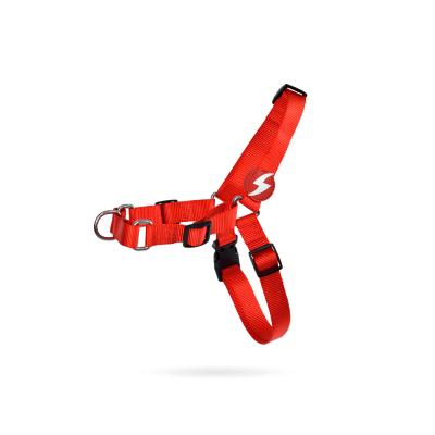 Coleira vermelha ajustável para animal com fivela preta e pendente vermelho