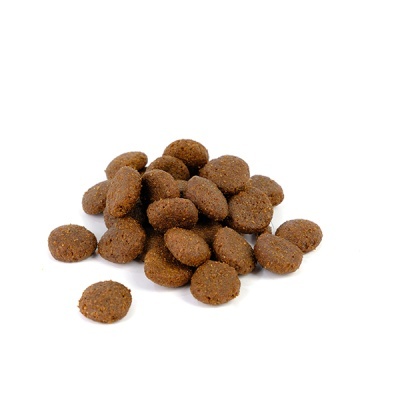 Croquetes redondos escuros sobre fundo branco