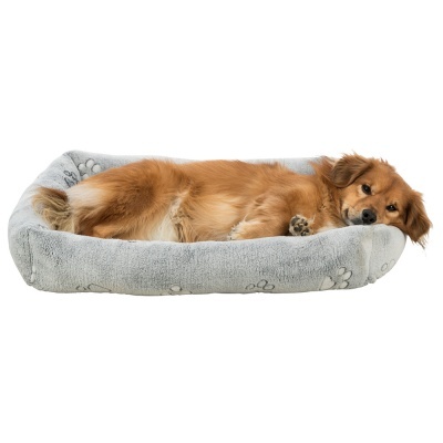 Cão castanho deitado numa cama cinzenta para cães com padrão de patas.