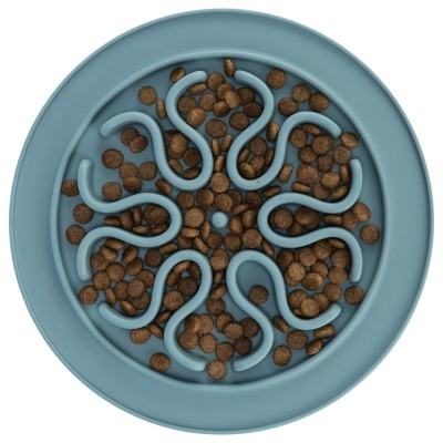 Comedouro lento azul com ração marrom