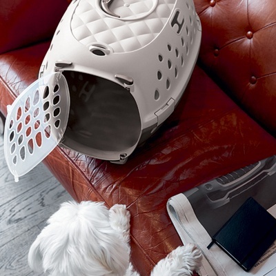 Transportadora para animais de estimação em plástico cinza claro no sofá com cão branco pequeno ao lado