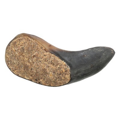 Chifre cortado com textura natural e área lisa escura