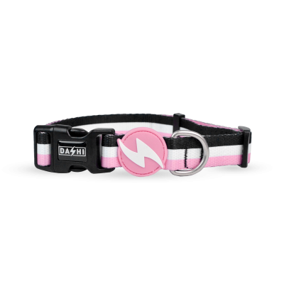 Coleira para animais com riscas preto, branco e rosa, fivela preta e distintivo rosa com raio branco