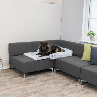 sofá modular cinzento escuro com manta cinzenta clara e cão deitado