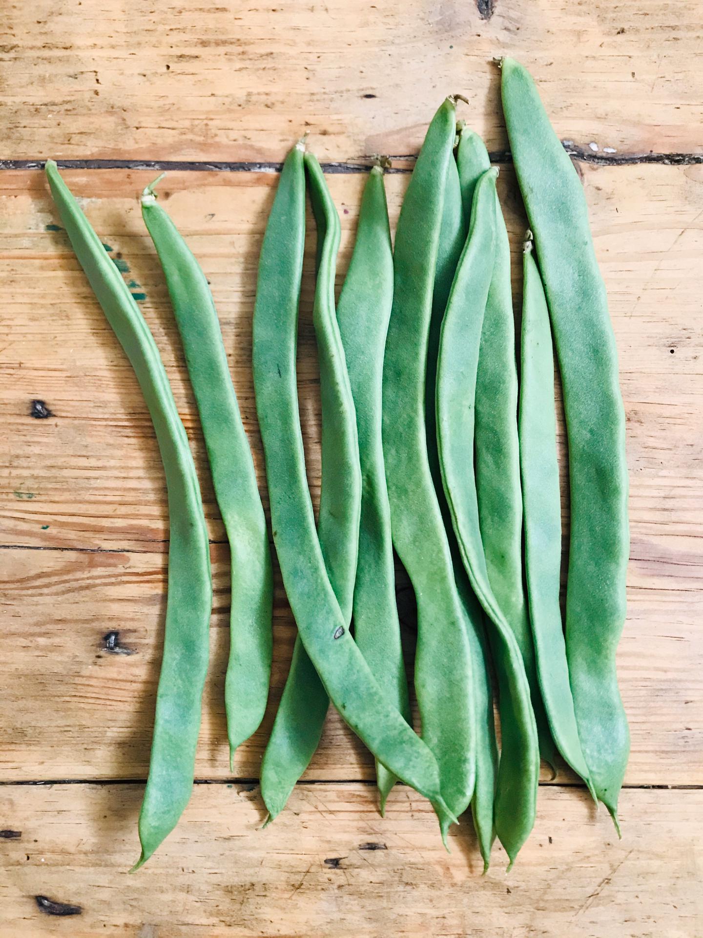 Feijão Verde (kg) Feijões verdes frescos sobre madeira clara