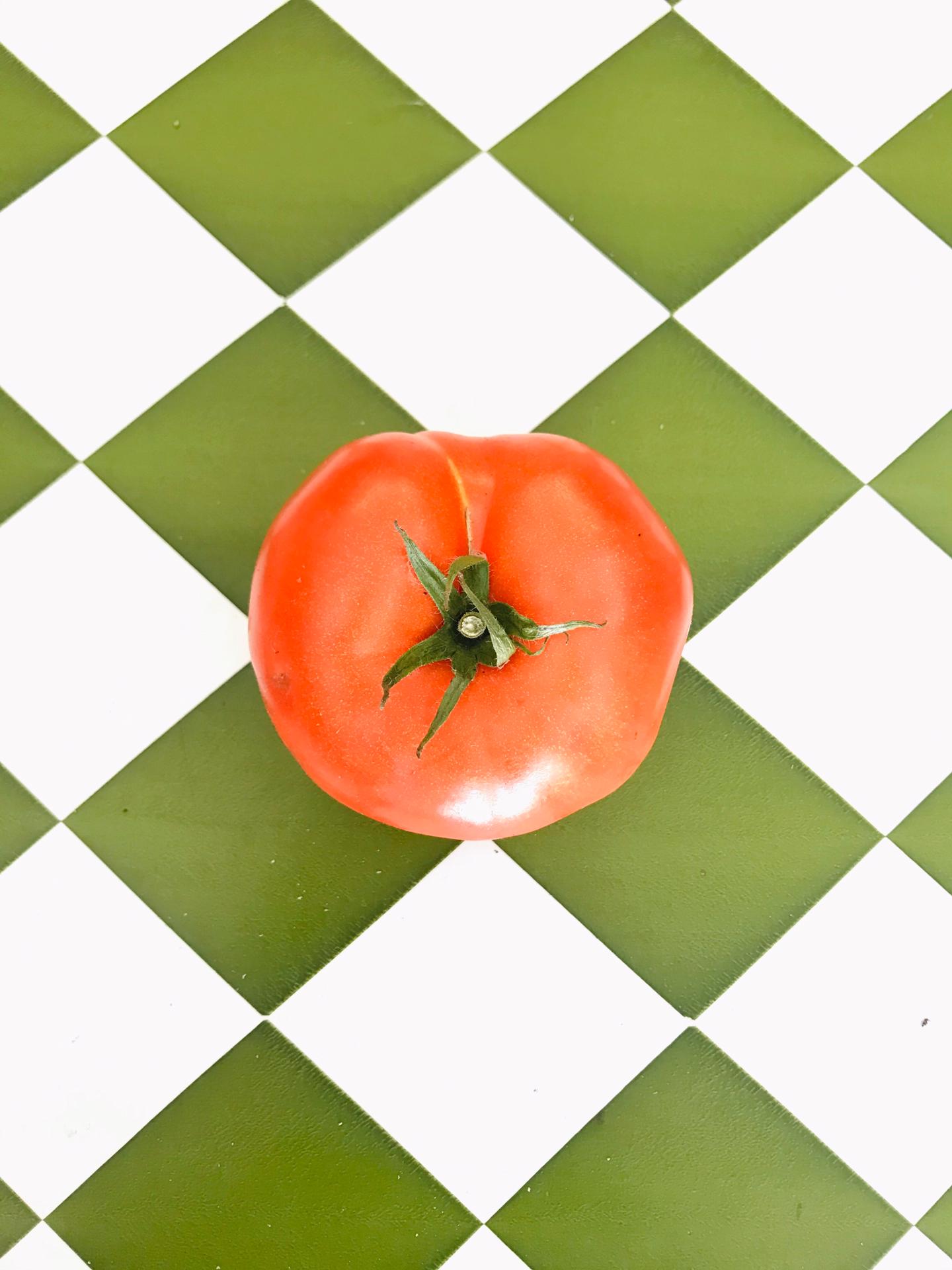 Tomate (kg) Tomate vermelho sobre superfície de azulejos verdes e brancos em padrão xadrez