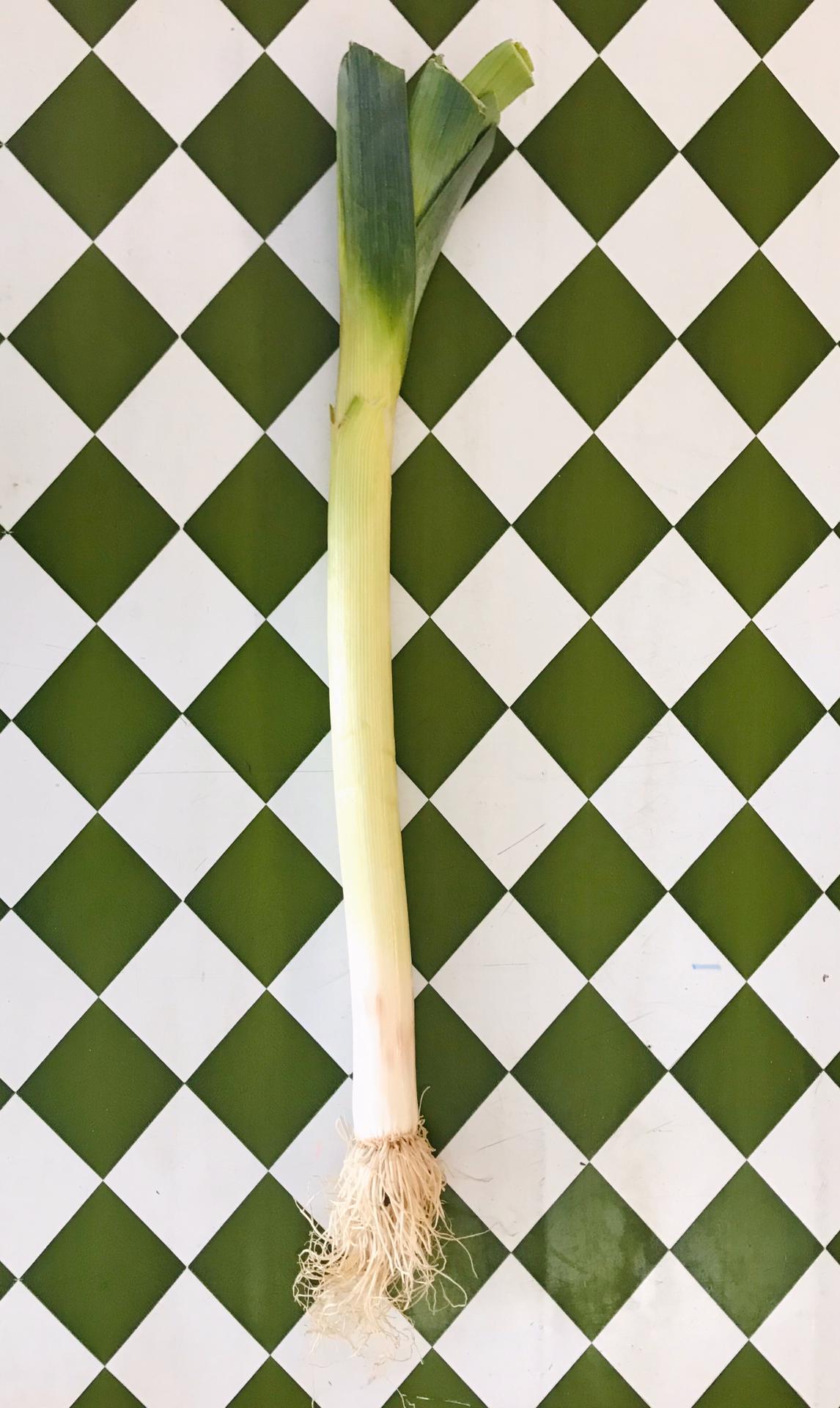 Alho Francês Inteiro da horta do Ti Xico (kg) Alho-porro fresco sobre fundo quadriculado verde e branco