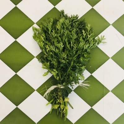 Ramo de folhas verdes sobre azulejos brancos e verdes em padrão xadrez