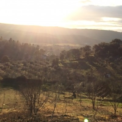 Paisagem rural ao pôr do sol com árvores e colinas ao fundo
