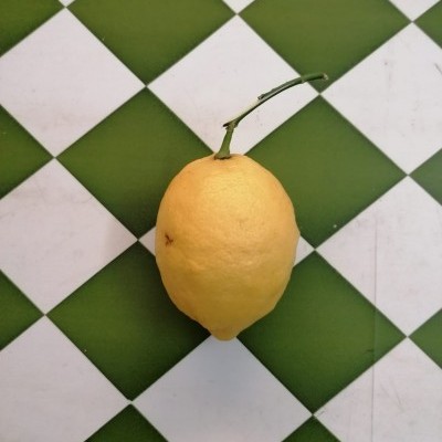 Limão amarelo com caule sobre azulejos verdes e brancos