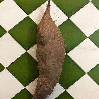 https://loja.castelodemarvao.pt/product/batata-doce