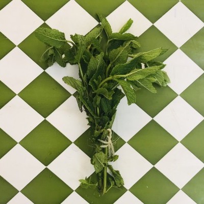 Molho de hortelã com folhas verdes sobre azulejos verde e branco