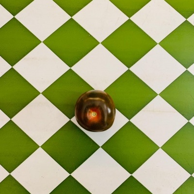 Tomate castanho escuro sobre azulejos quadriculados verdes e brancos