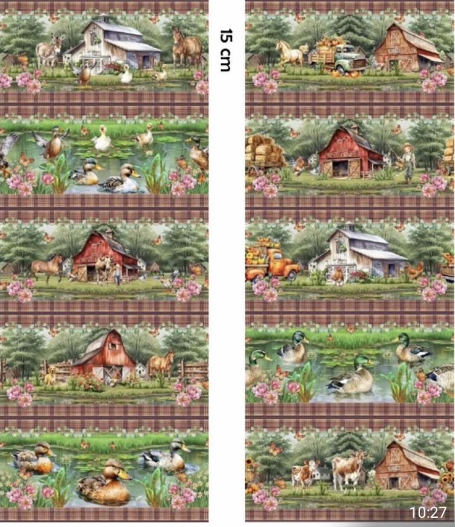 Barrado - BR99 Barrado - BR99