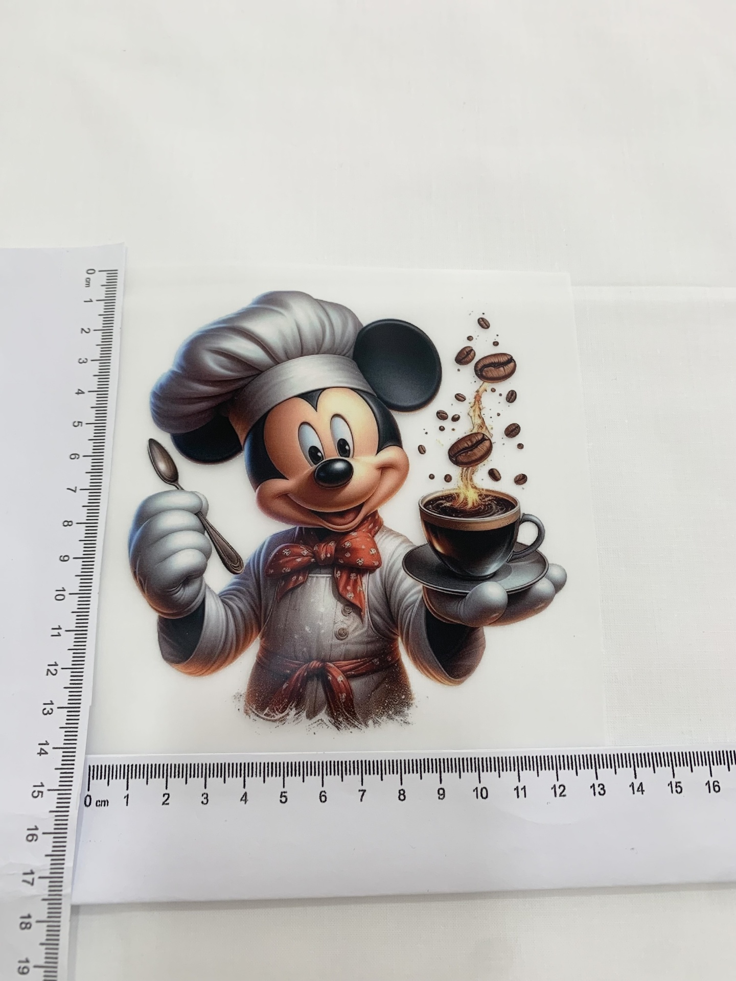 Transfer Nº24 Transfer Nº24