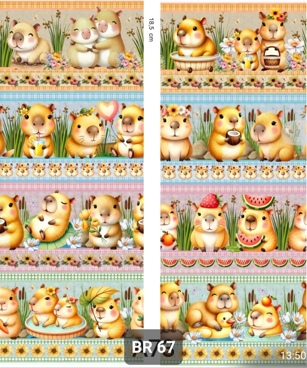 Barrado - BR67 Barrado - BR67