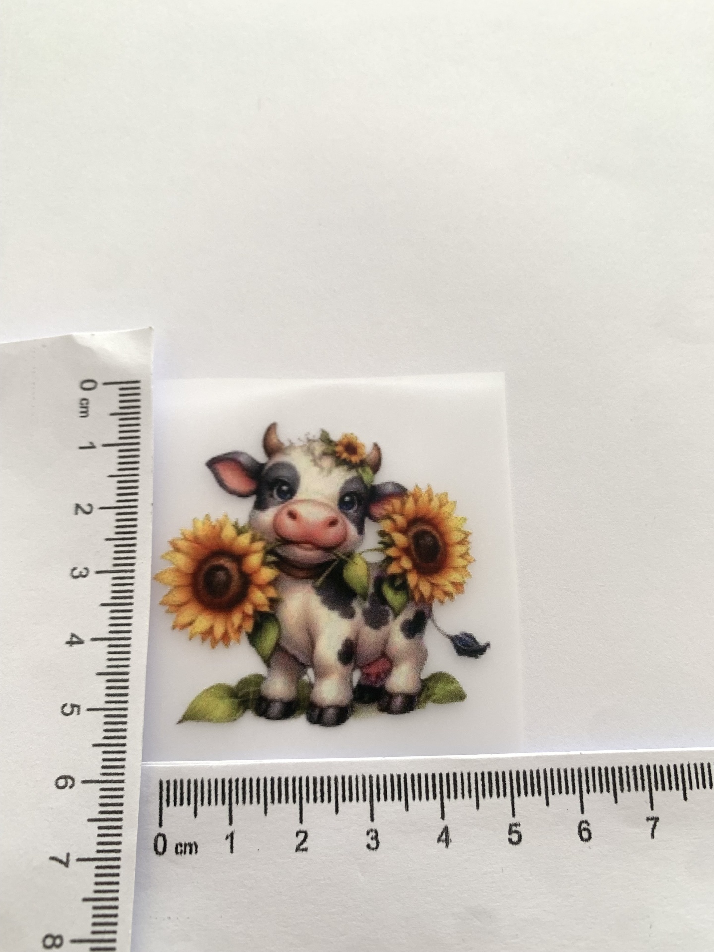 Transfer Nº T30 Transfer Nº T30