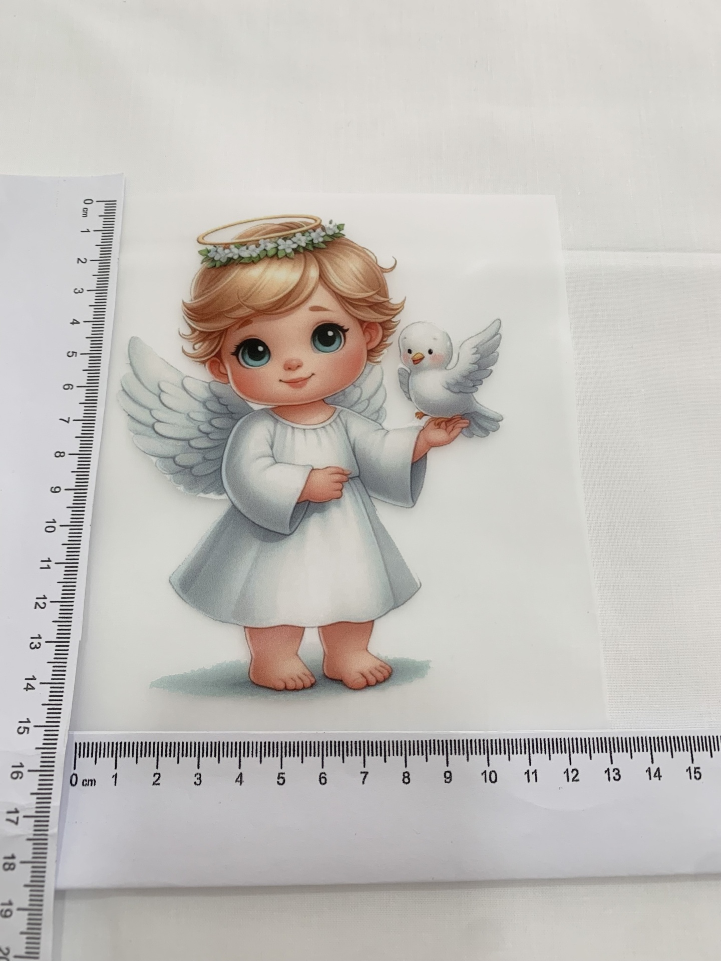 Transfer Nº42 Transfer Nº42