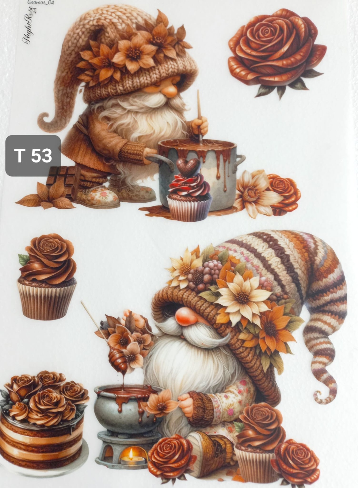 Transfer Nº T53 Transfer Nº T53