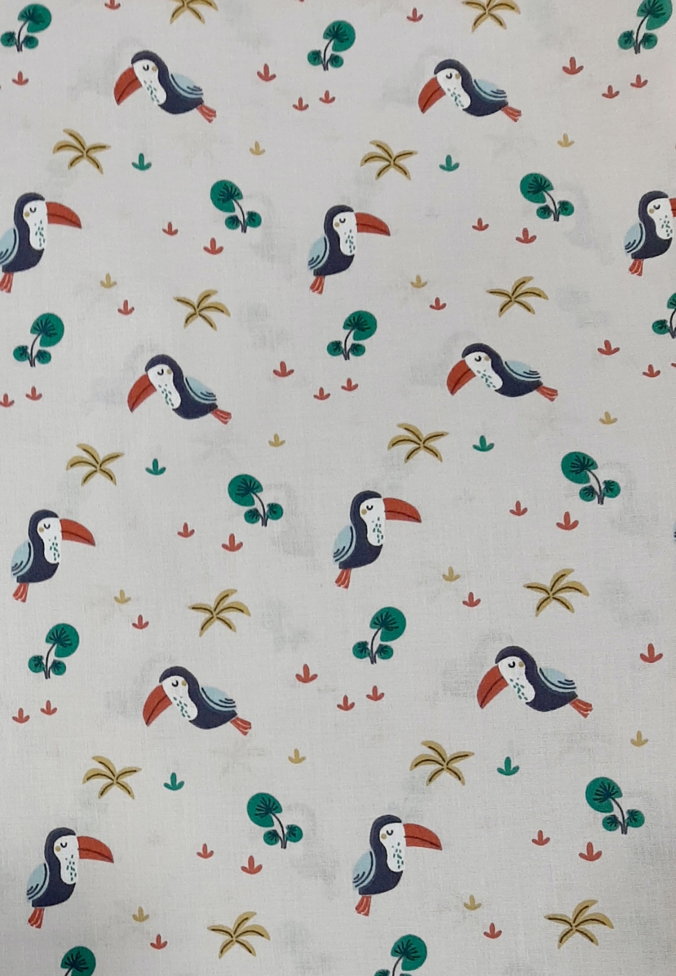 Tucanos em fundo cinza Tucanos em fundo cinza