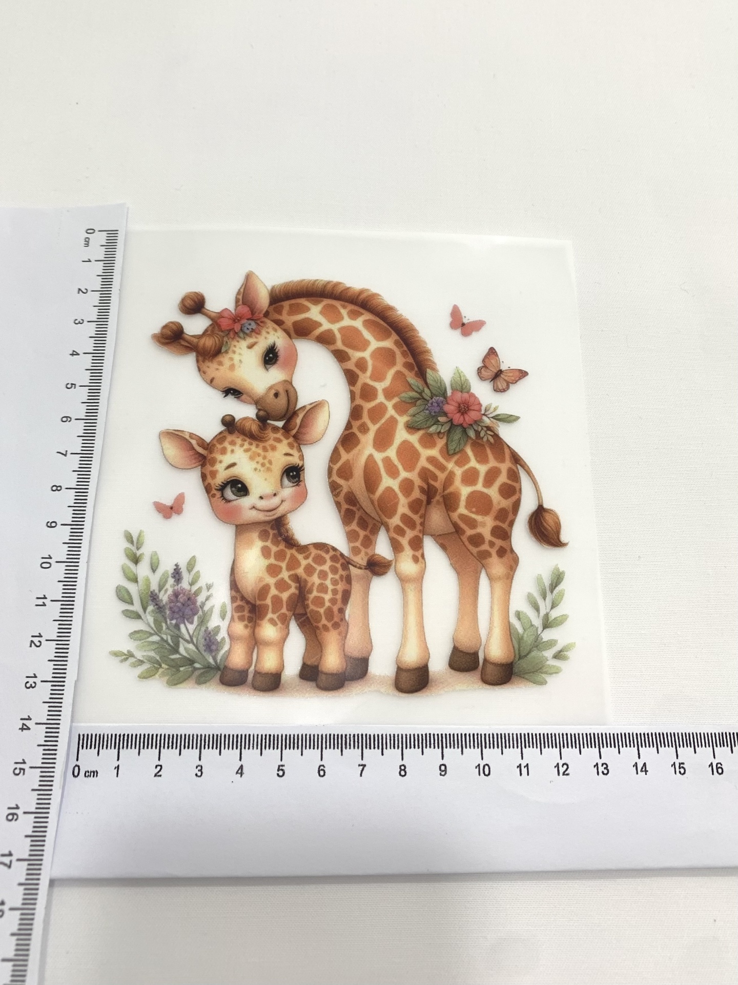 Transfer Nº32 Transfer Nº32