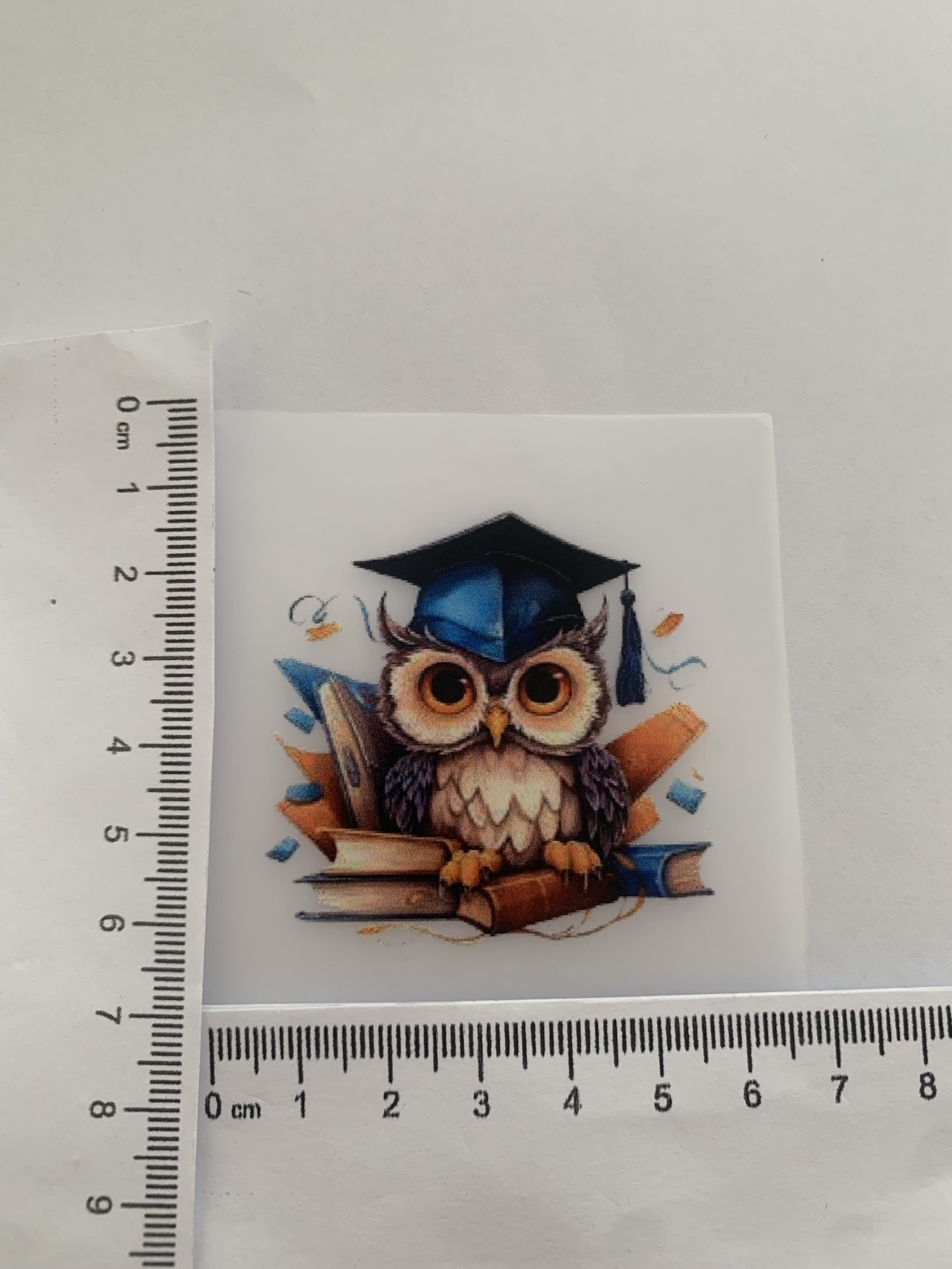 Transfer Nº T72 Transfer Nº T72