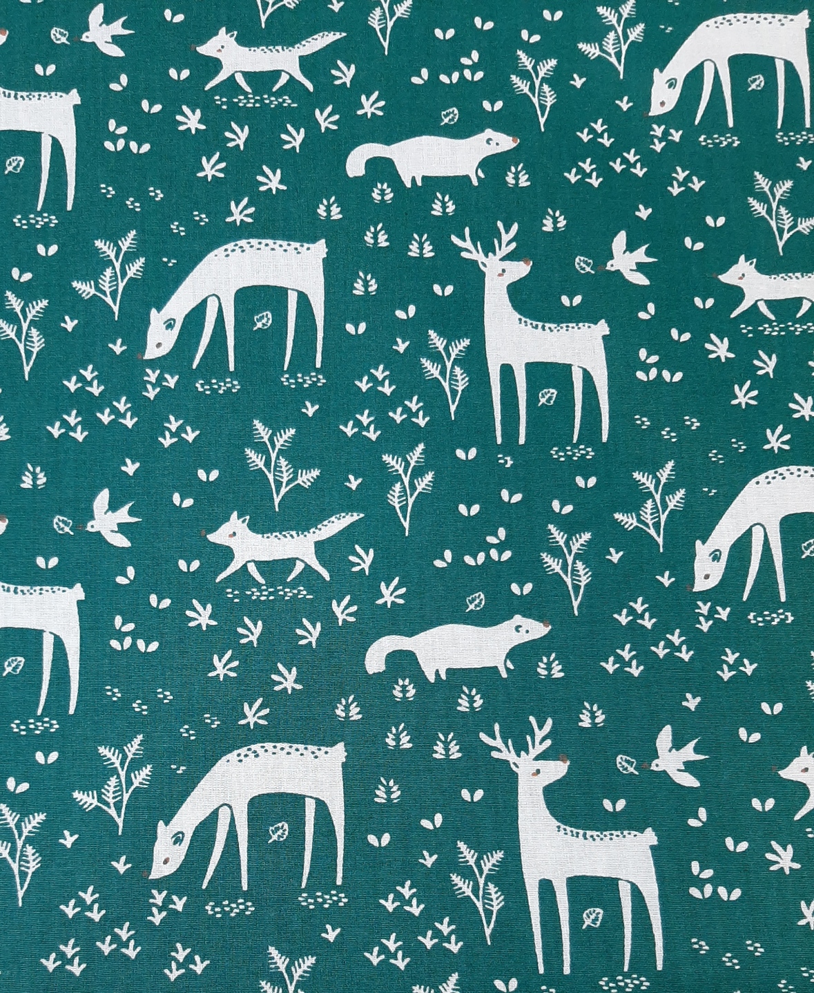 Winter Deer Winter Deer