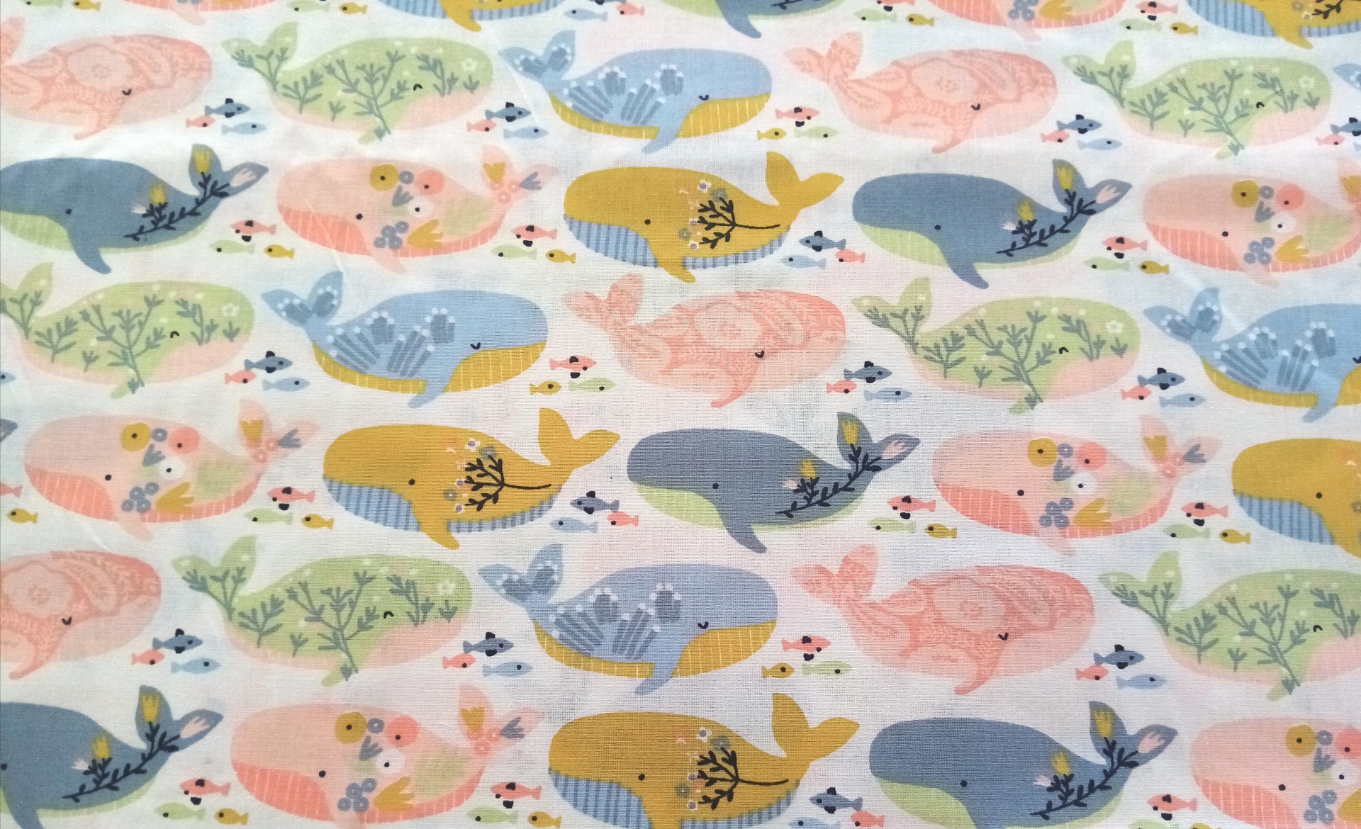 Baleias coloridas Baleias coloridas