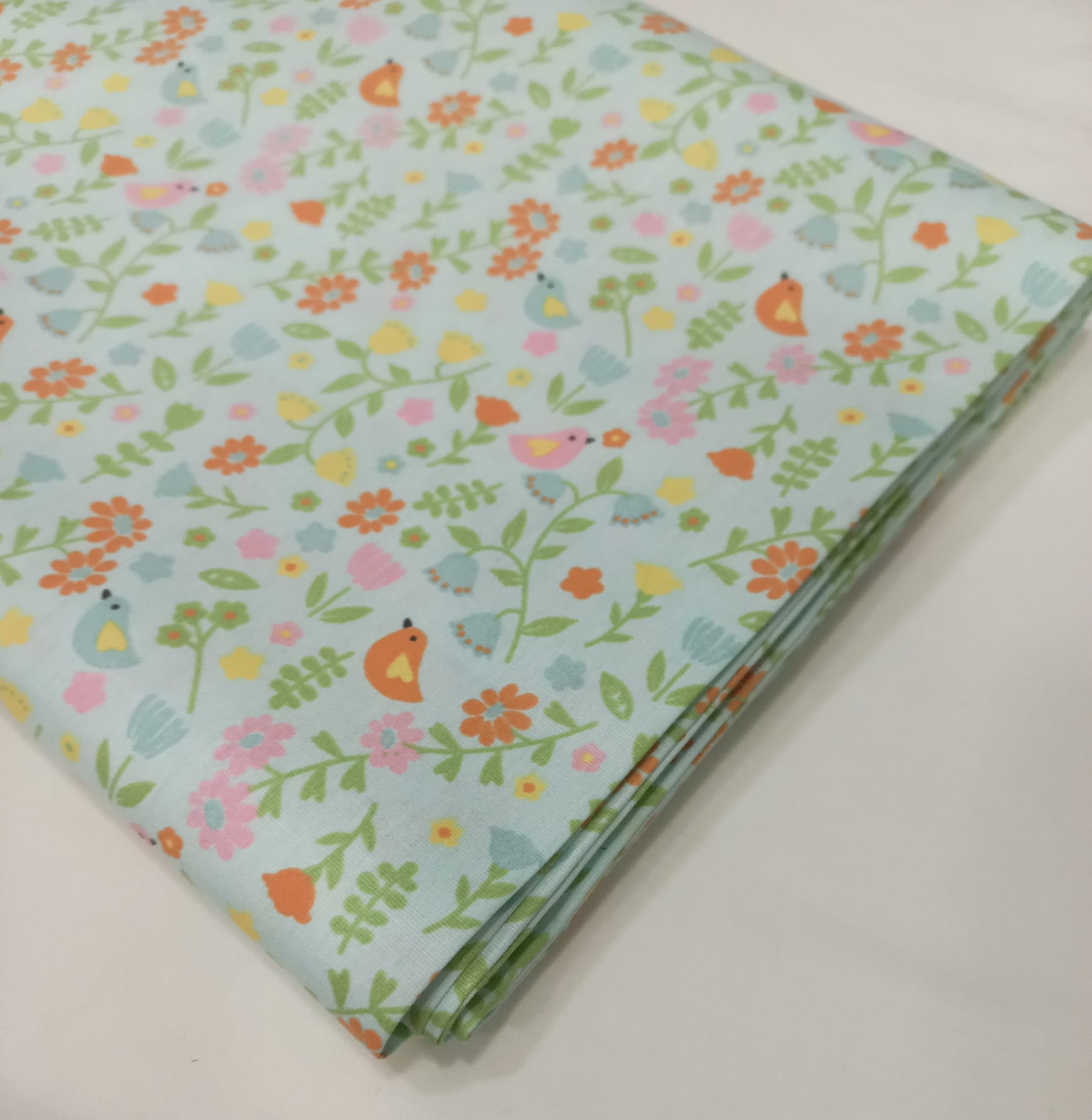 Passarinhos no Jardim Passarinhos no Jardim