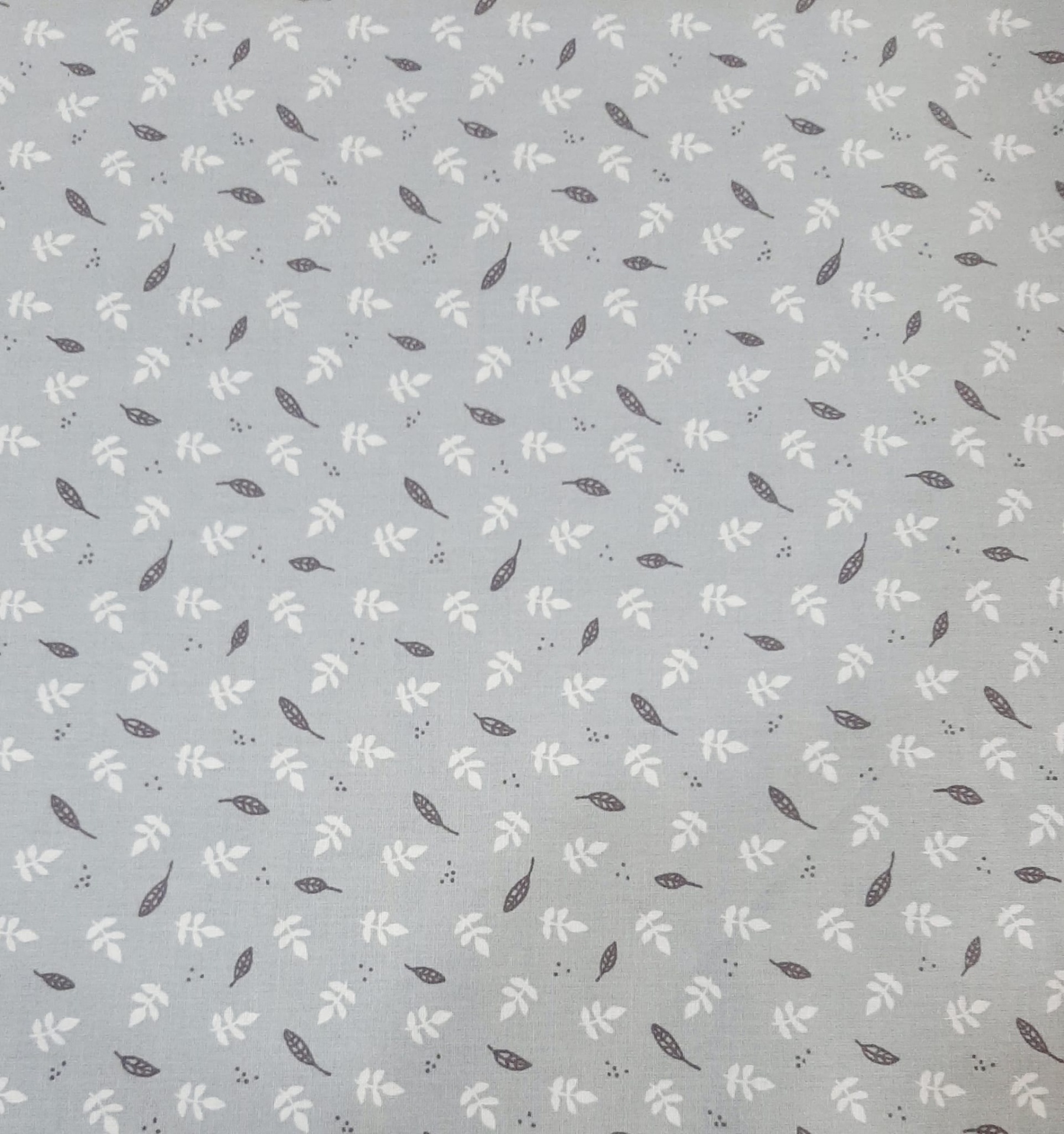 Folhas em fundo cinza Folhas em fundo cinza