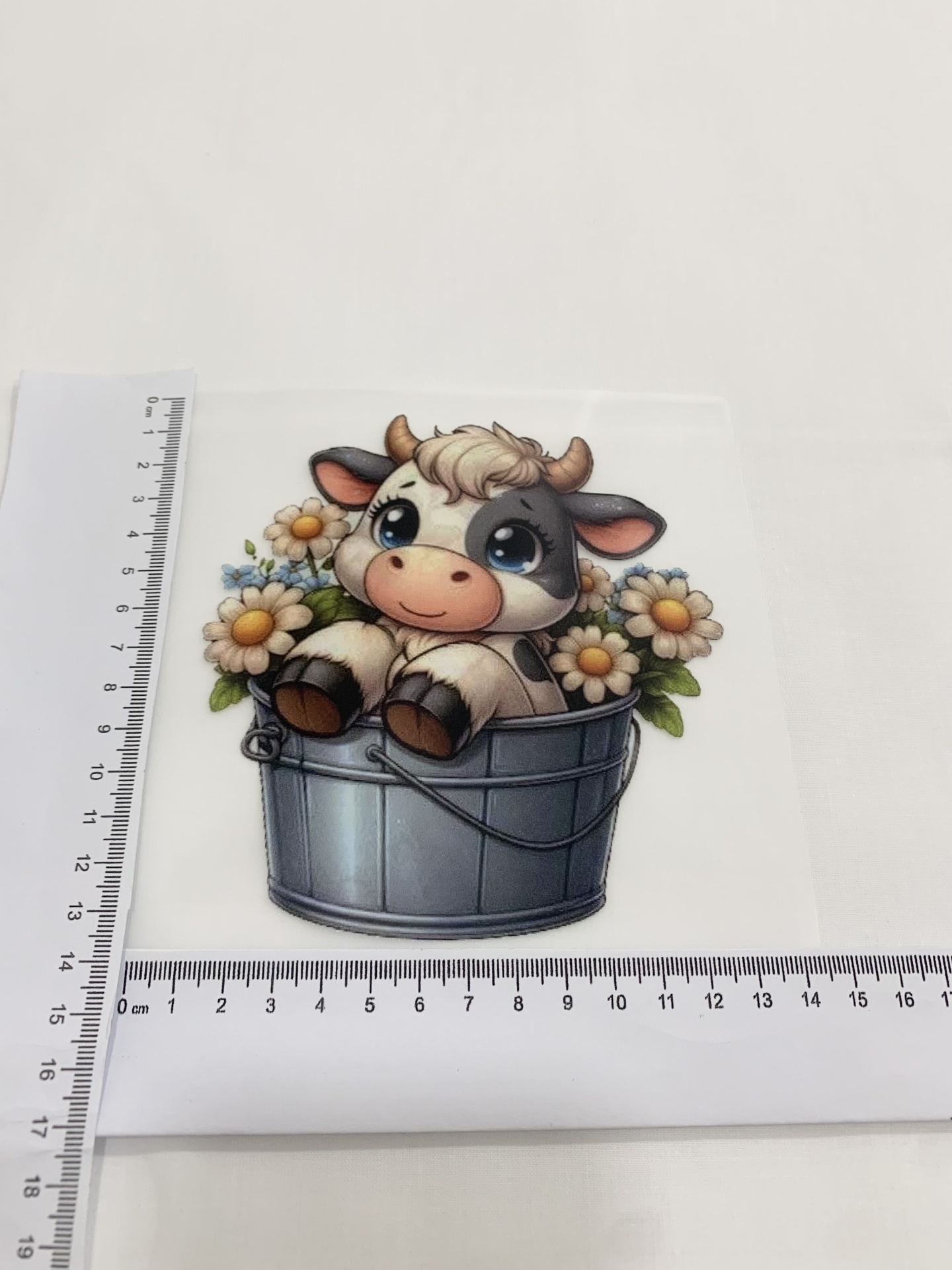 Transfer Nº29 Transfer Nº29