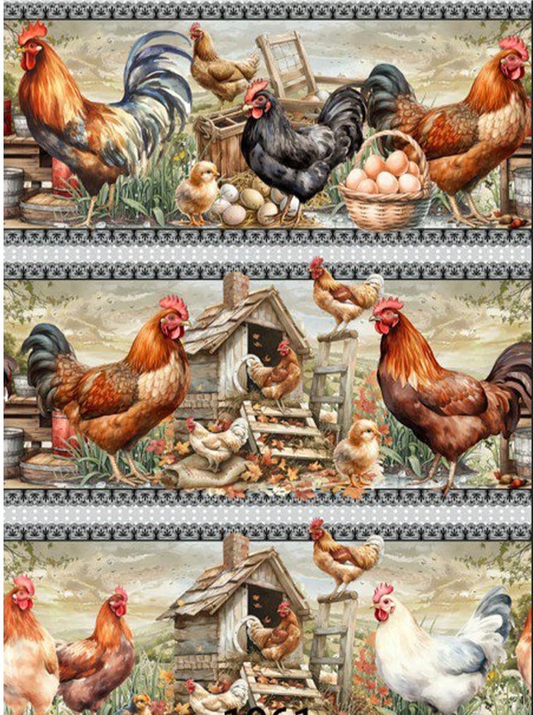 Barrado - BR119 Barrado - BR119