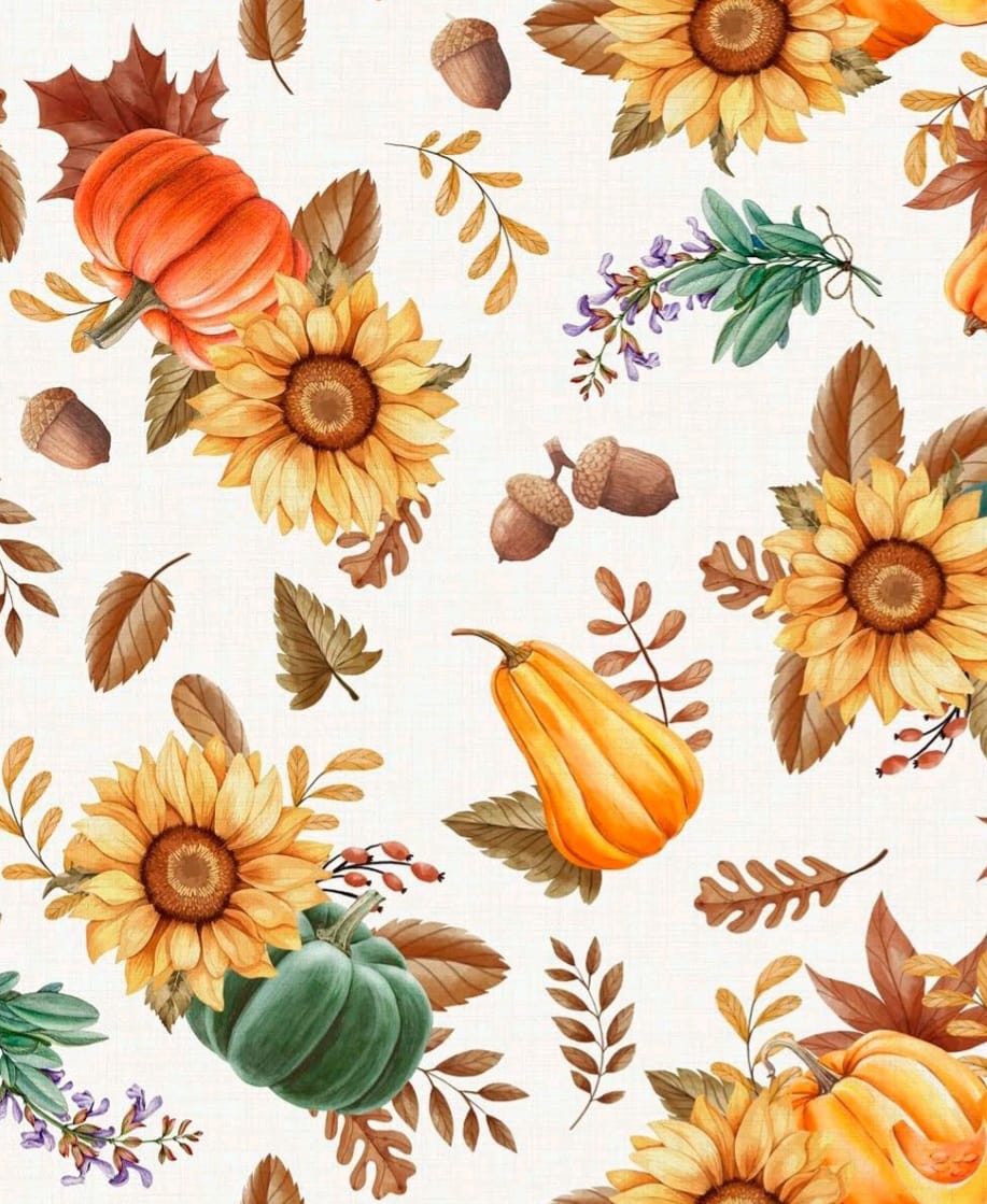 Half Panamá - 02 Half Panamá - 02