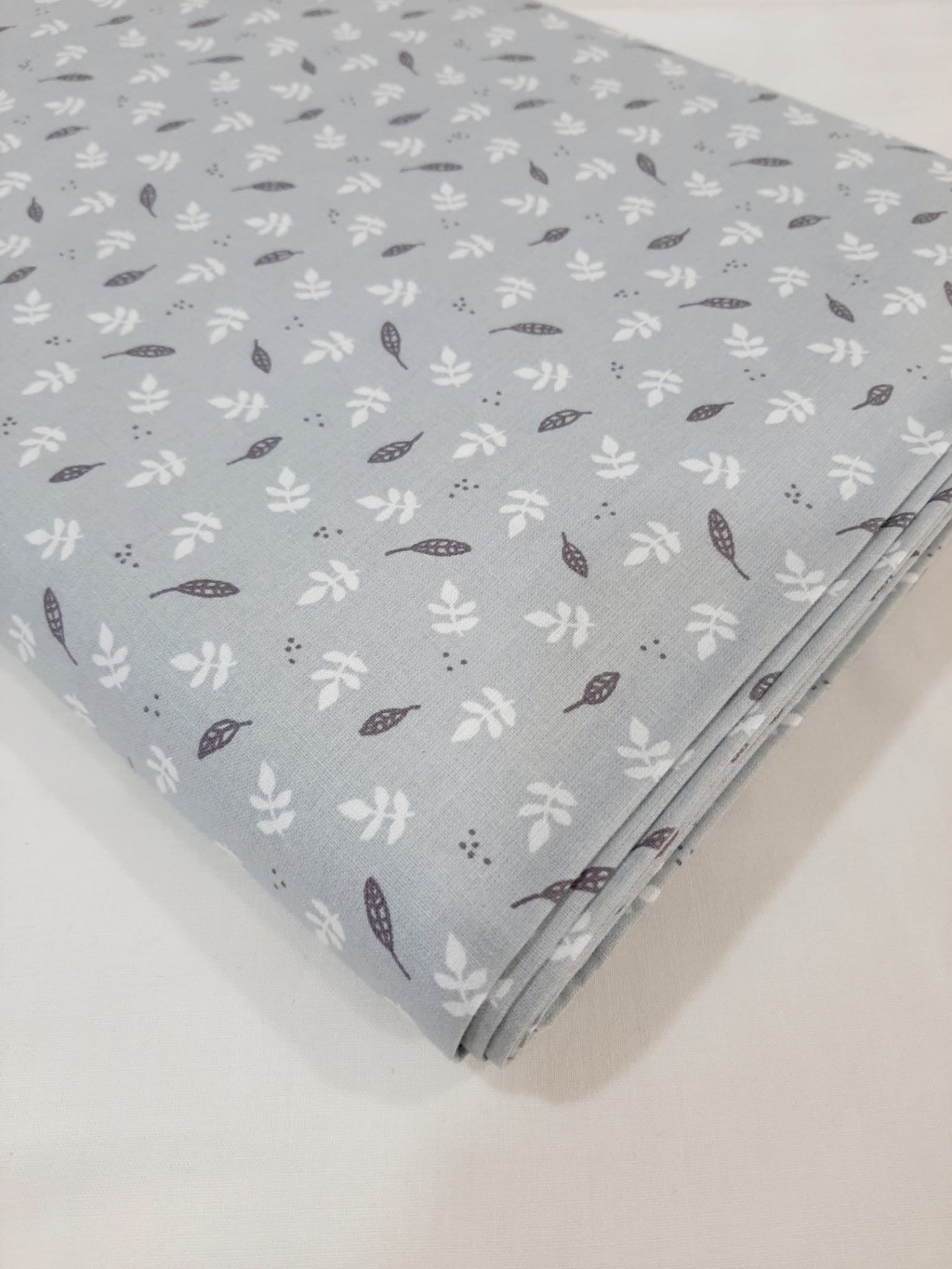 Folhas em fundo cinza Folhas em fundo cinza