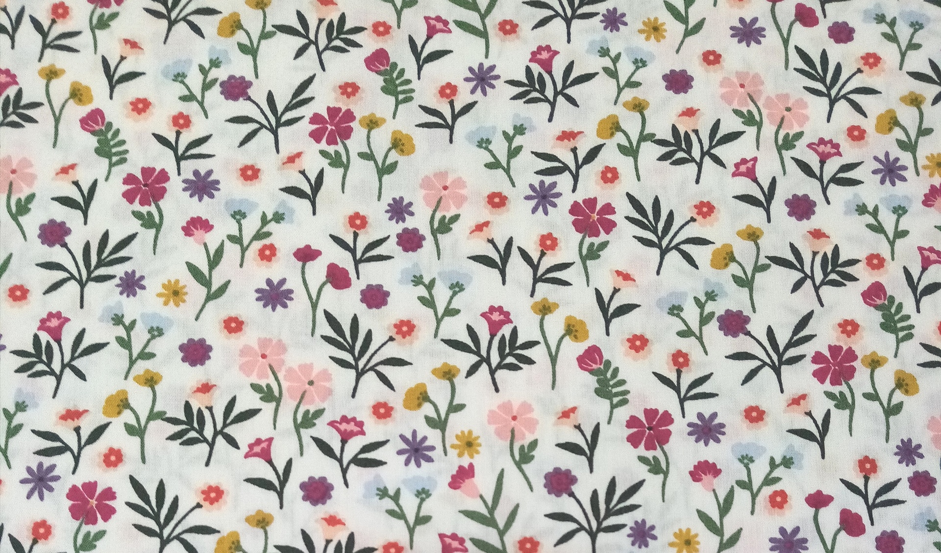 Flores Coloridas Flores Coloridas