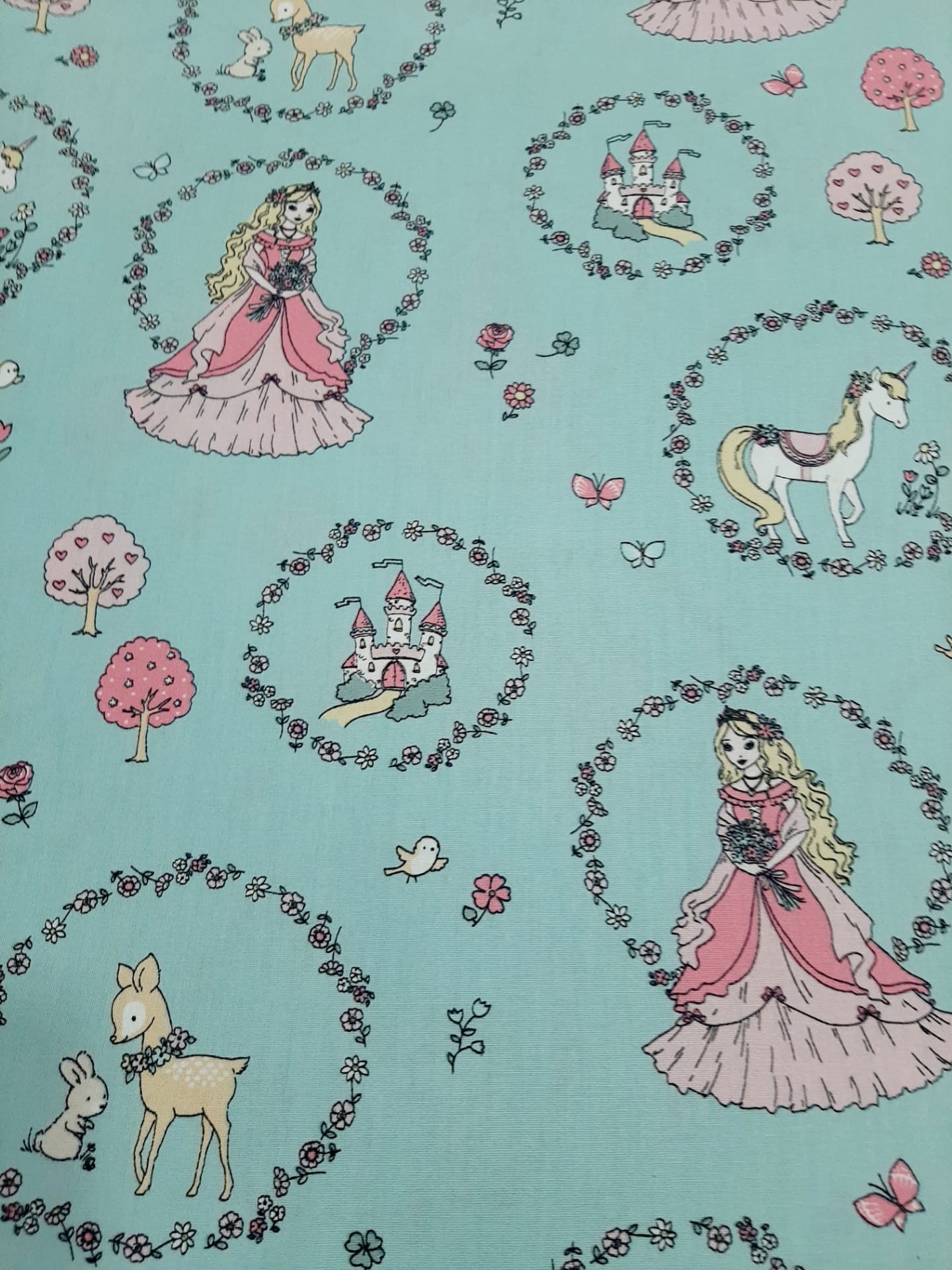 Princesas e Castelos Princesas e Castelos